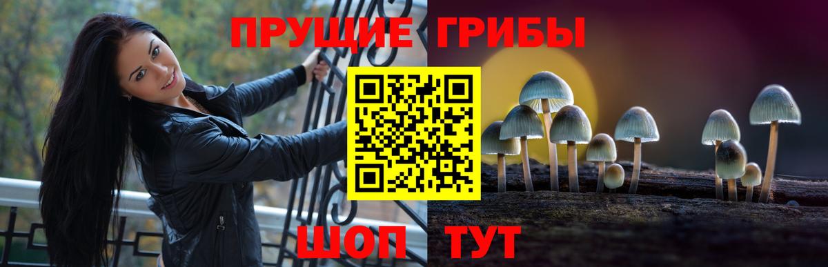Псилоцибиновые грибы Cubensis  Вход с VPN  Тобольск 